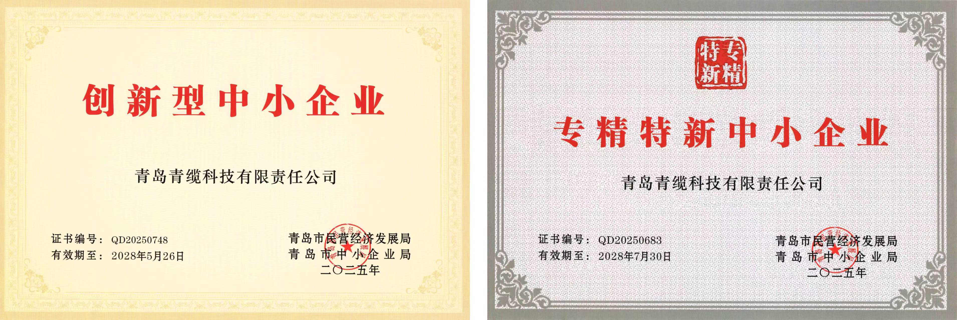 青缆获评“创新型中小企业”并顺利通过“专精特新中小企业”复评(图1)